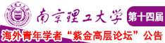 操操操啊啊啊啪啪啪南京理工大学第十四届海外青年学者紫金论坛诚邀海内外英才！